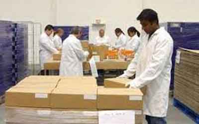 Labour Contractor For Packaging Industry
