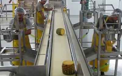 Labour Contractor For Food & Beverages Factory in Kolkata