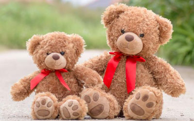 Teddy Bear Manufactur & Services in Kolkata