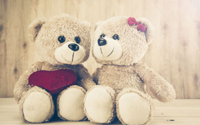 Teddy Bear Manufactur & Services in Kolkata