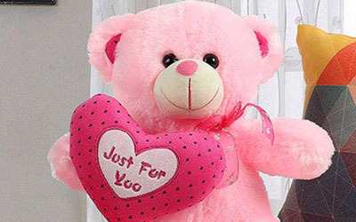 Teddy Bear Manufactur & Services in Kolkata